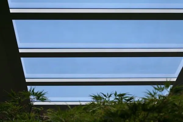 Coelux-HT25-3-1.jpg
