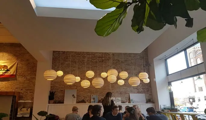 Coelux.jpg