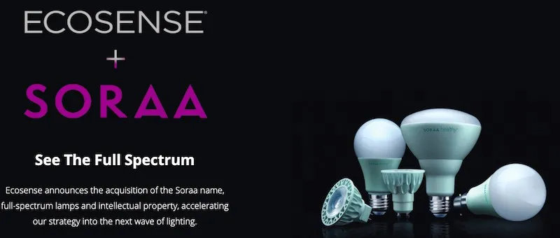 EcoSense-Soraa.jpg
