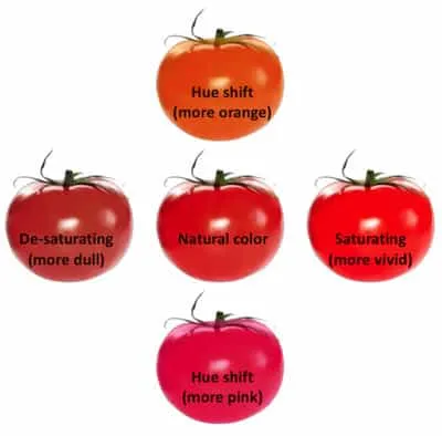 domates.jpg