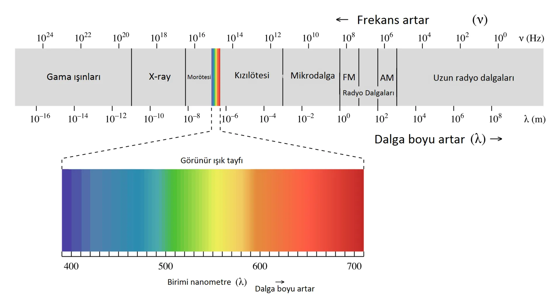 visible-spektrum-4elektromanyetik_dalga_tayfi.png